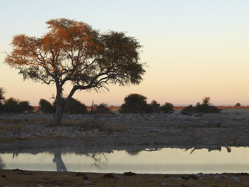 Etosha National Park, Okaukuejo